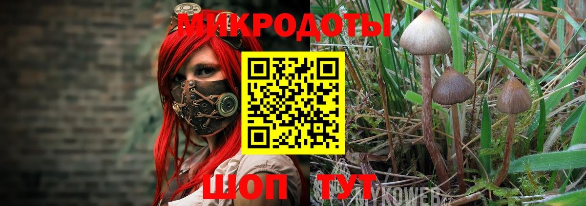 Галлюциногенные грибы мицелий  Вход с VPN  Салехард 